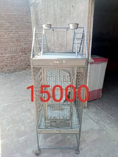 African gray parrot gray parrot parrot cage fancy and breading