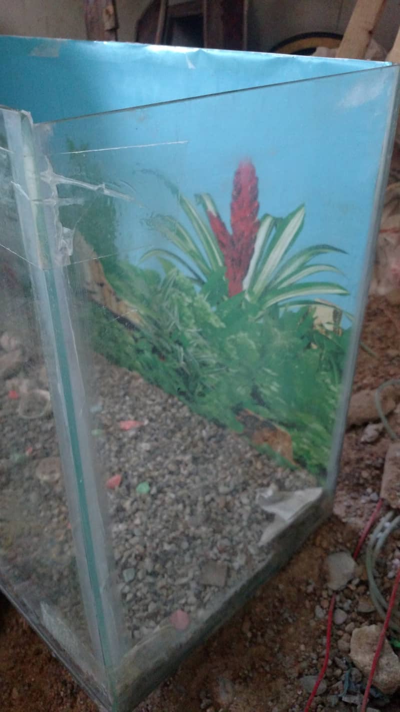 Fish Tank Aquarium in BIG SiZE 1