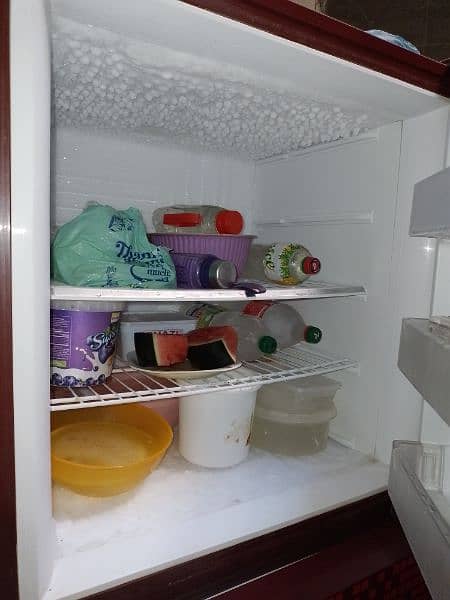 pel refrigerator 4