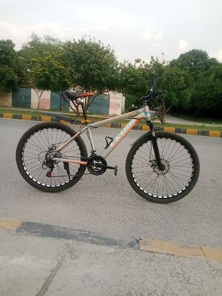 Mountain bicycle for sale 8