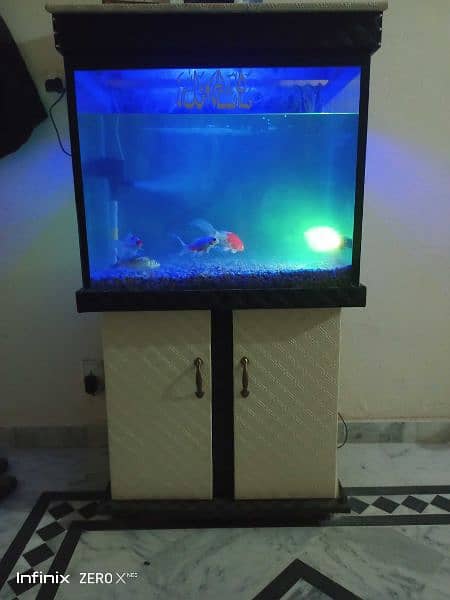 Fish Aquarium with fishes 2