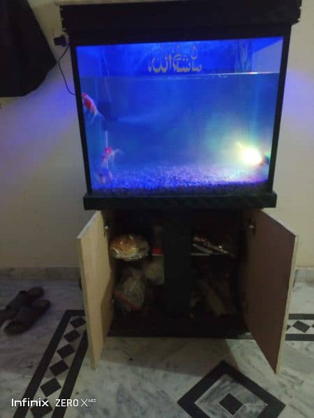 Fish Aquarium with fishes 3