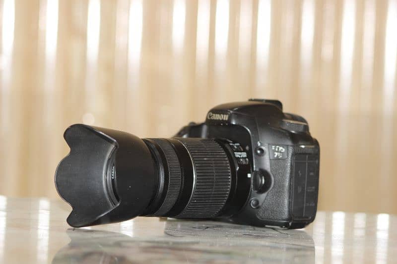 Canon 7d with 50mm yougnou & 55-250mm image stablizer lens 2