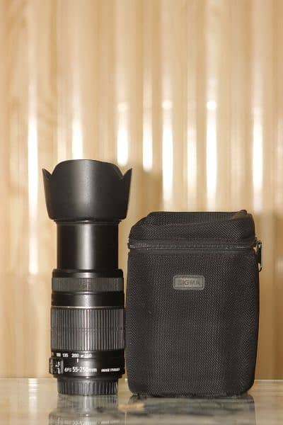Canon 7d with 50mm yougnou & 55-250mm image stablizer lens 6