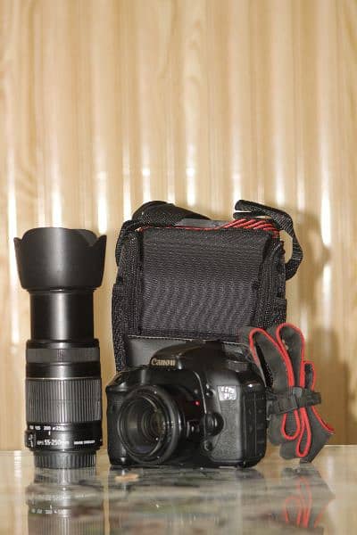Canon 7d with 50mm yougnou & 55-250mm image stablizer lens 8