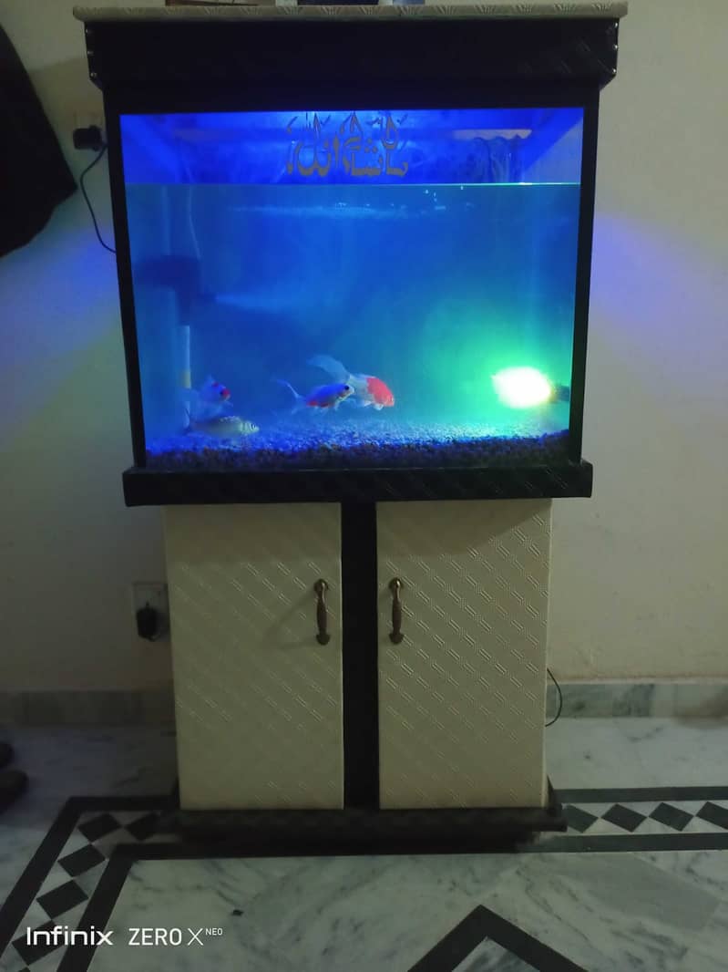 Fish aquarium with fishes 1