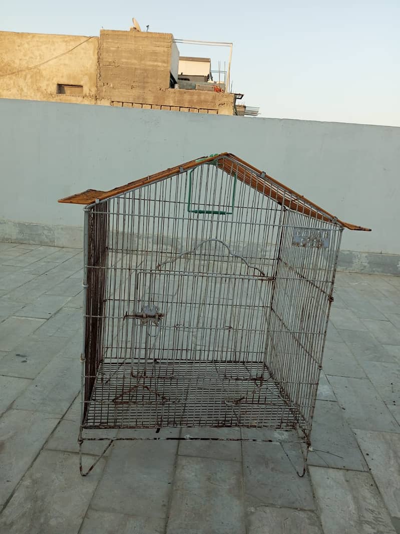 12 Portion and 1 Portion Cages Available 4