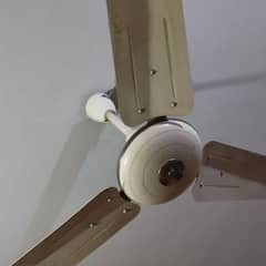 ceiling fan for sale in genuine condition Urgent