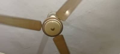 ceiling fan good condition and work