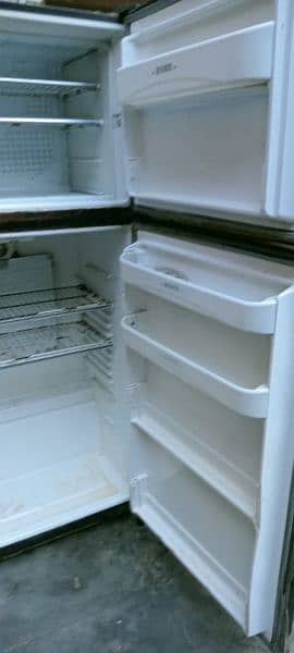 PEL refrigerator 1