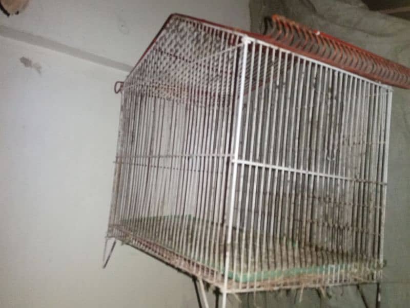 cages 03168901477 3