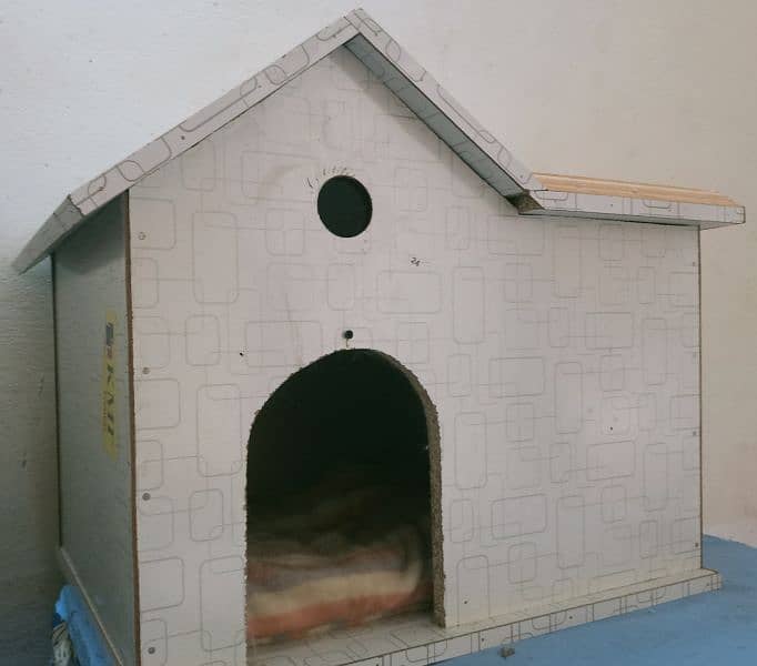 Cat House 1