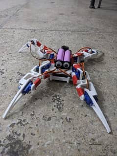 Rebotic spider 0