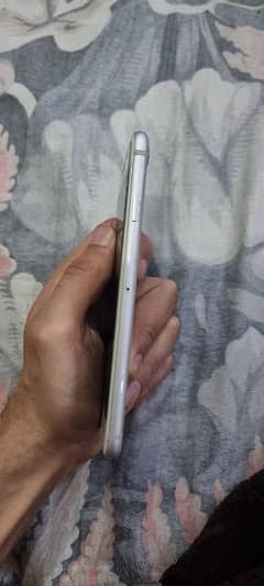 iphone 7 white 256 Pta approved 100% health