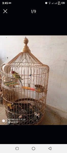 Round Cage for maccow /Parrot (Only Cage) 0