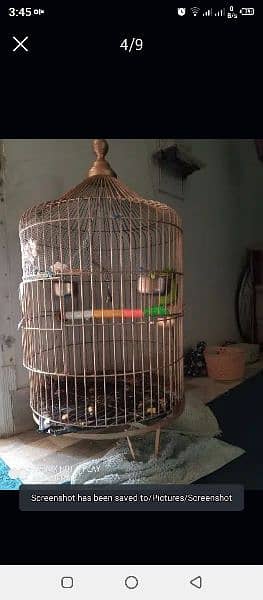 Cage for maccow /Parrot (Only Cage) 1