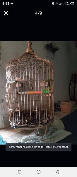 Round Cage for maccow /Parrot (Only Cage) 1