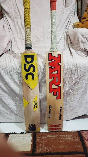 hard ball crickit full kit 2 bats MRF And DSC 1