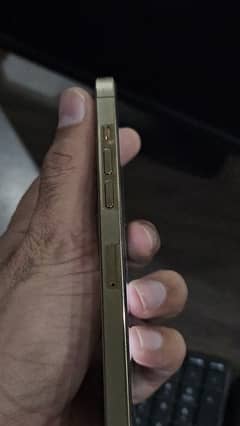 Iphone 12 pro max gold 256 gb pta approved