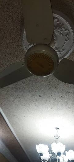 2 ceiling fans
