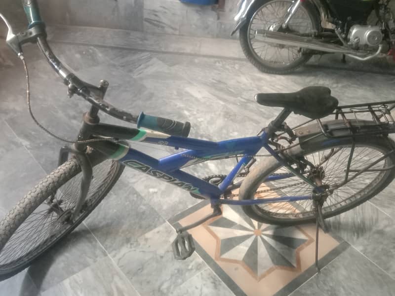 Urgent sell bicycle 3