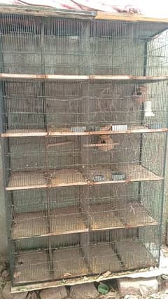 bird cage  20 trays