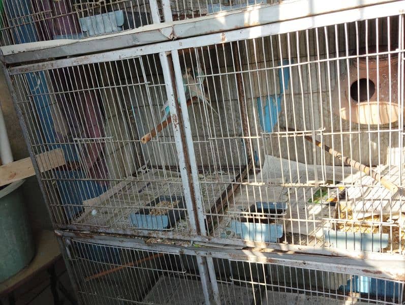 cage for sell in good condition 1