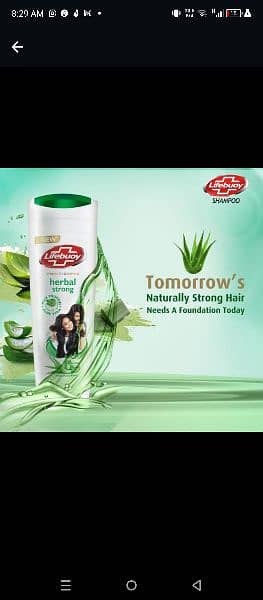 pack of 6 price per shampoo 300 2