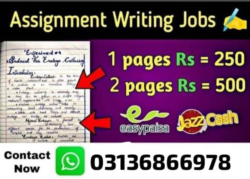 Online Handwritten and Ms word  Assignment Work For Male and Female 0
