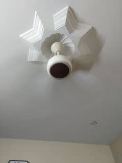 gfc fancy ceiling fan