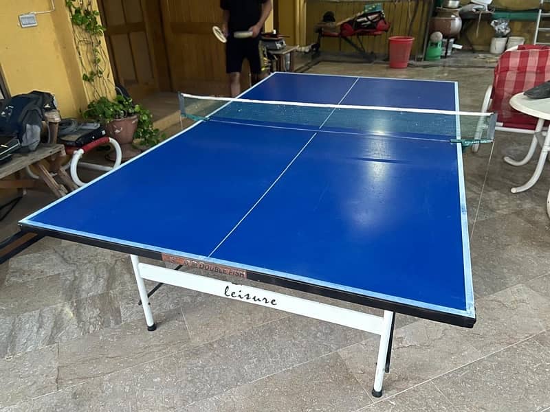 Double fish full metal Indoor/Outdoor foldable table tennis table 1