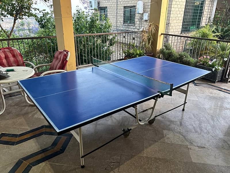 Double fish full metal Indoor/Outdoor foldable table tennis table 2