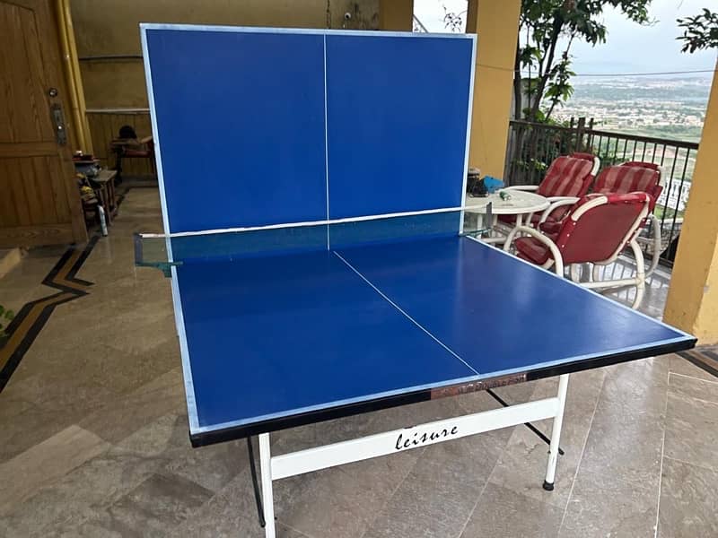 Double fish full metal Indoor/Outdoor foldable table tennis table 6