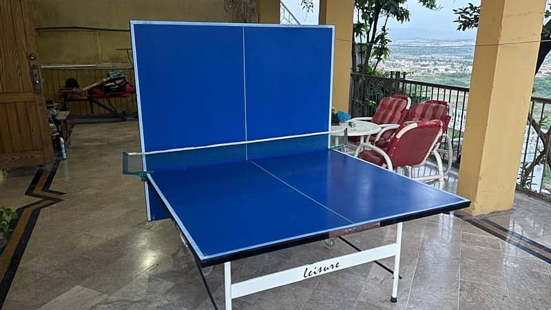 Double fish full metal Indoor/Outdoor foldable table tennis table 8