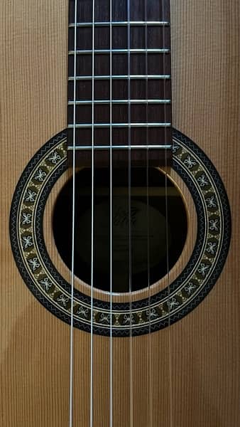 Godin LaPatrie Concert Classical Guitar with Gator flight case 3