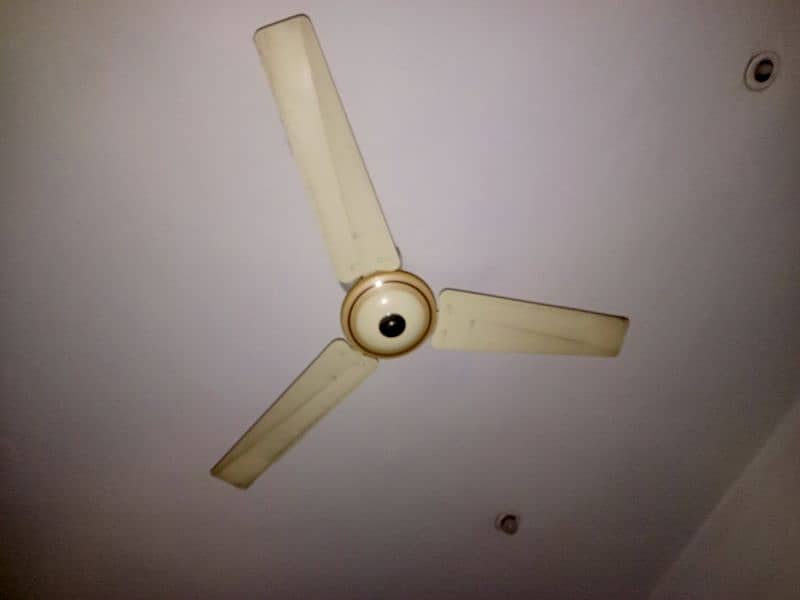 ceiling fans 0