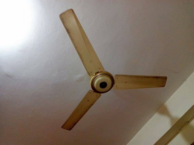 ceiling fans 1