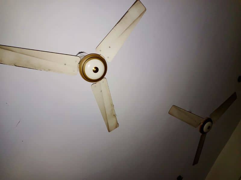 ceiling fans 2