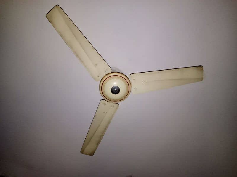 ceiling fans 3