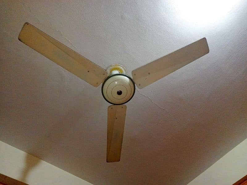 ceiling fans 4