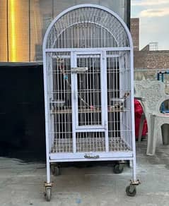 Cage for tame parrots