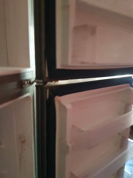 pel 2 door fridge good condition 9
