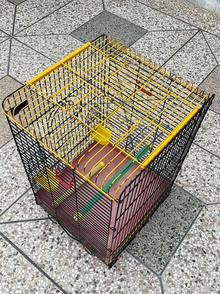 birds cage 3