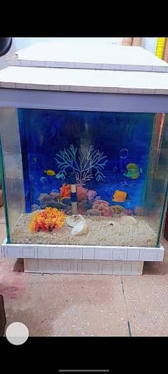 aquarium 2 x 1.5 feet (flexible price)