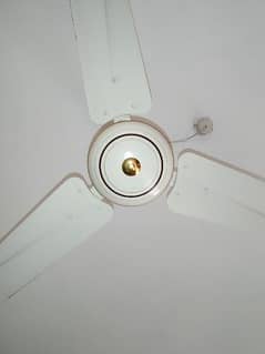 5 Ceiling Pak fans just like new in reasonable price 0