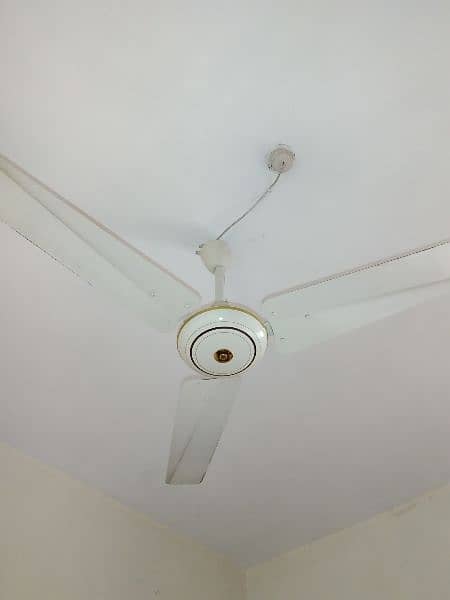 5 Ceiling Pak fans just like new in reasonable price 1