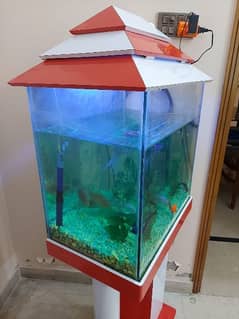 Fish Tank with 9 fish 0
