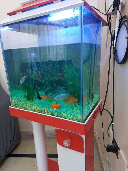 Fish Tank with 9 fish 1