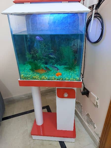 Fish Tank with 9 fish 2