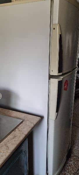 PEL large size fridge 2